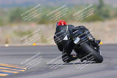 media/Oct-01-2023-SoCal Trackdays (Sun) [[4c570cc352]]/Turn 14 Backside (1120am)/
